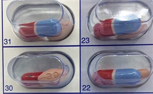 12 Cards 12 Blisters for 31 Day Monthly Cold Seal Pill Storage, Summer Camps, Pharmacists, Cargivers (12)