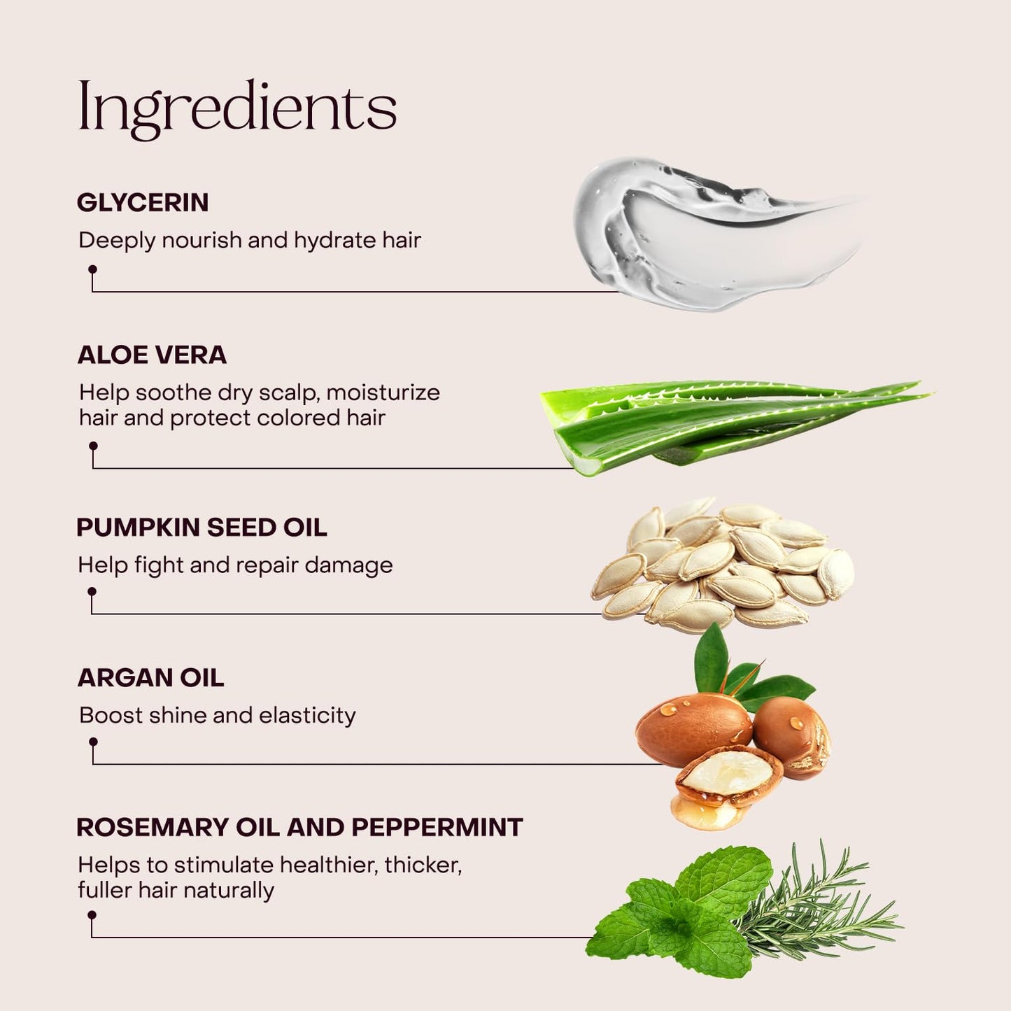 Everist The Haircare Meets Skincare Set, Includes Shampoo & Deep Conditioner Concentrates, Strengthens & Repairs Hair, Hydrates & Soothes Scalp, Plant-Based & Color-Safe, 3.4 fl oz Each