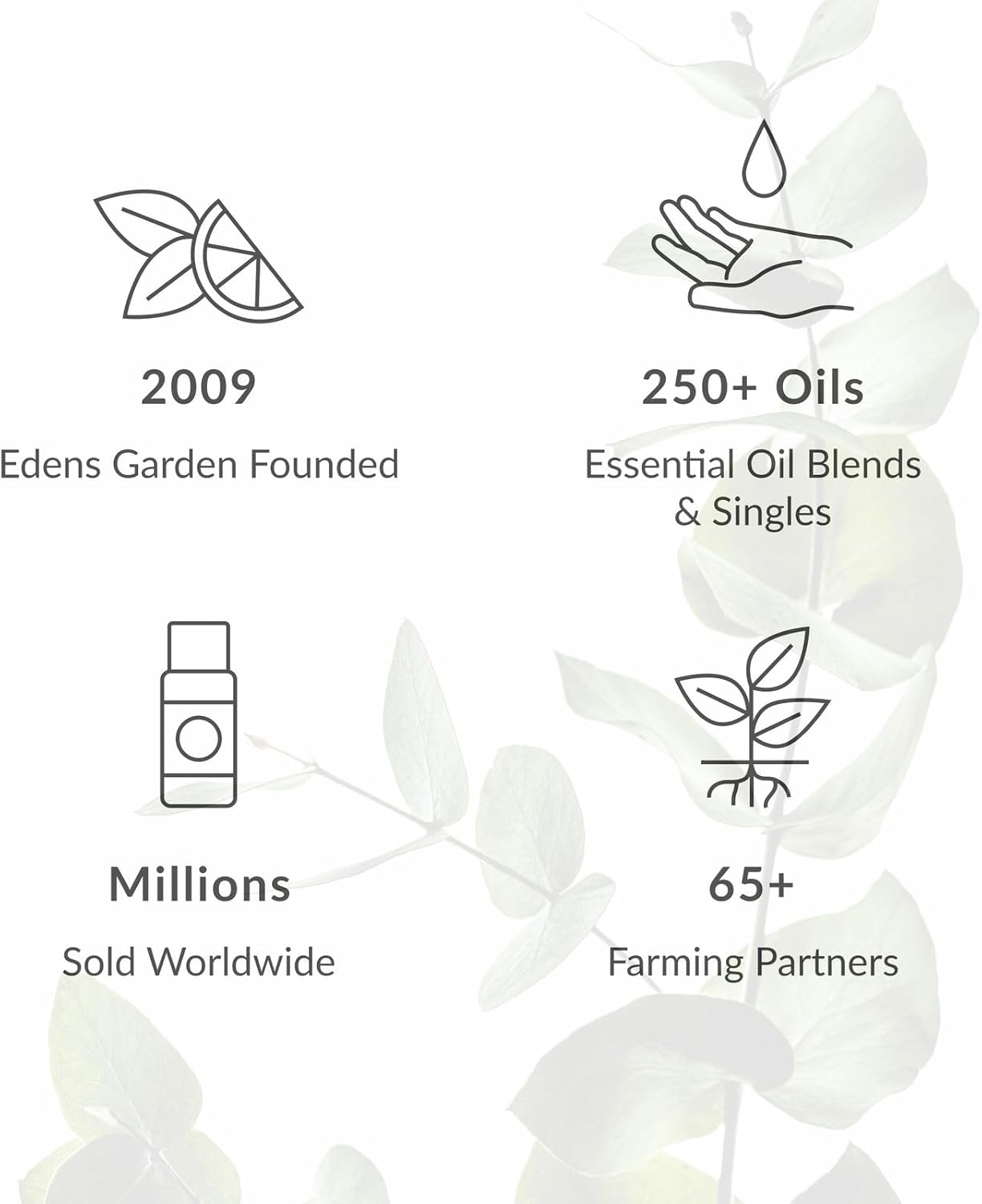 Edens Garden Lily Essential Oil Blend – 100% Pure Premium Grade, Toxin-Free Floral Oil, No Synthetics, Undiluted & Clean for Skin, DIY Soap Making, Perfume, Home & Car Diffusers 10 ml (.33 fl oz)