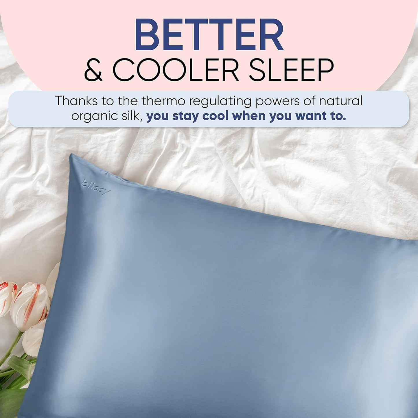 Blissy Silk Pillowcase - 100% Pure Mulberry Silk - 22 Momme 6A High-Grade Fibers - Silk Pillow Cover for Hair & Skin - Regular, Queen & King (Ash Blue, Standard)