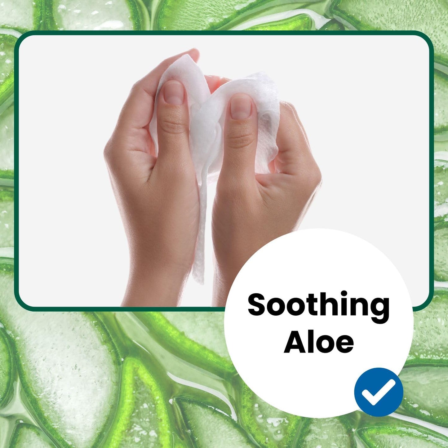 HCS Bulk Extra Large Adult Wipes - Elderly, Incontinence - (576) Body Wipes for Adults, Bathing, No Rinse - Bath Wipe, Shower - Wet Disposable Washcloths, Aloe, Unscented - 9"x12", 12 Packs of 48