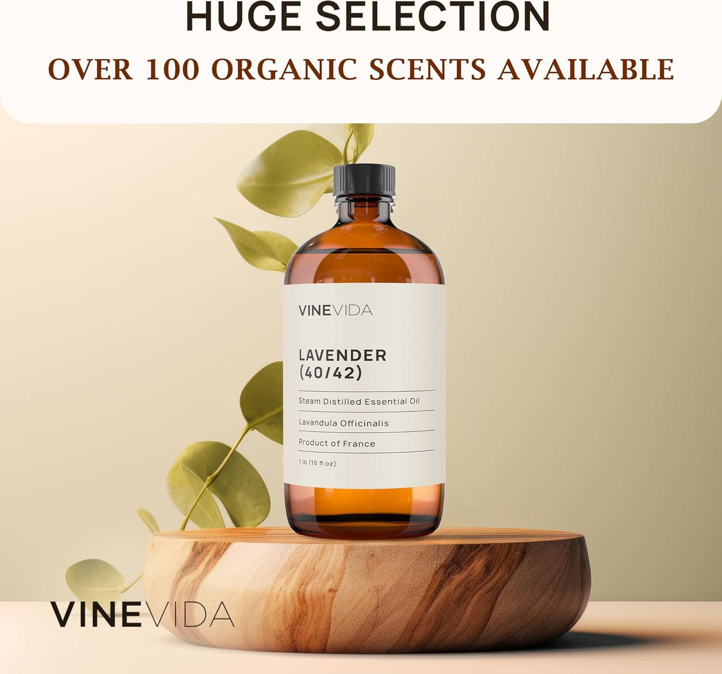 VINEVIDA Lavender 40/42 Undiluted Essential Oil 16 oz - Pure, Natural, and Raw Ingredients