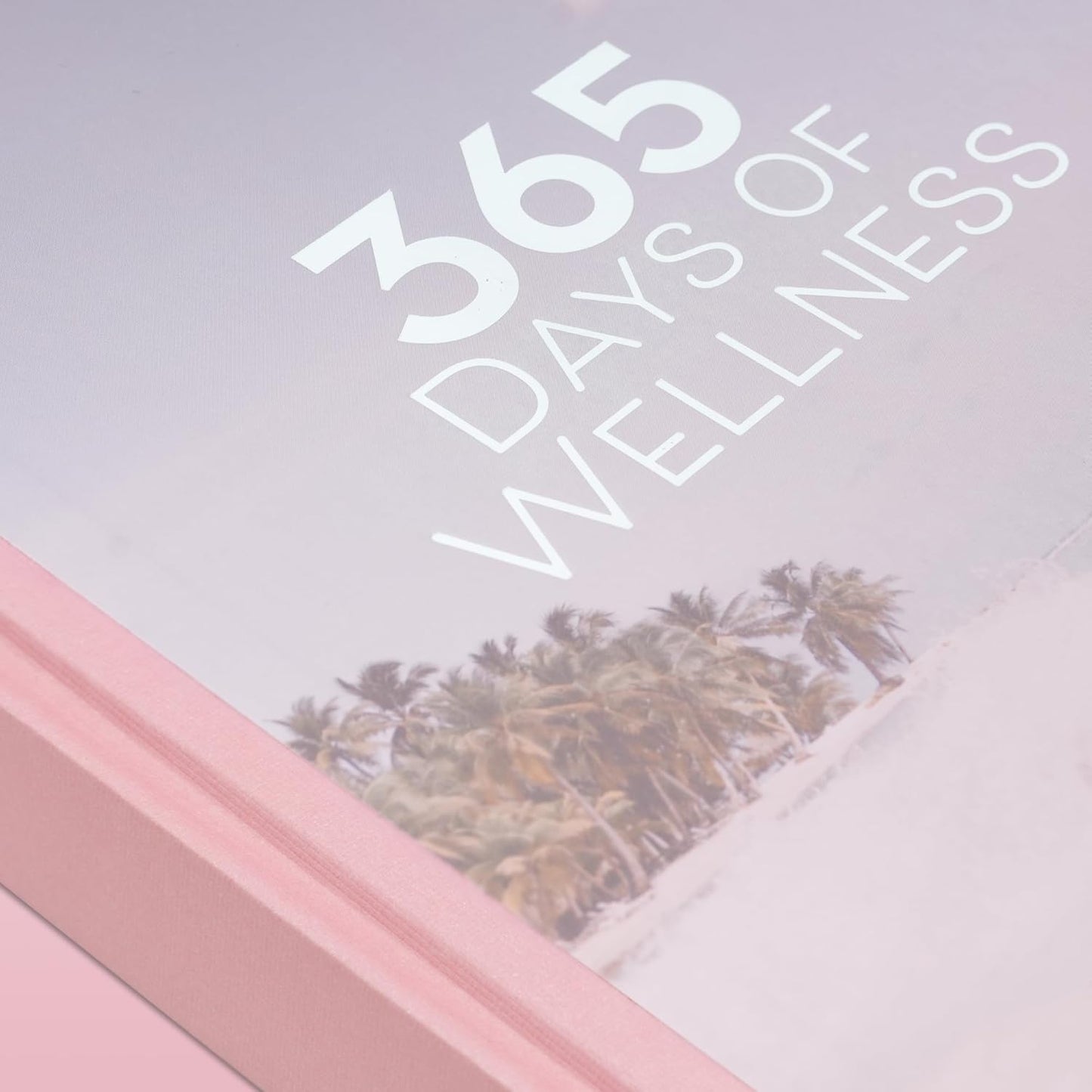 365 Day Wellness Journal, Daily Prompts Guided Notebook for Personal Growth Self Care Mindfulness Discovery Thoughtful Diary