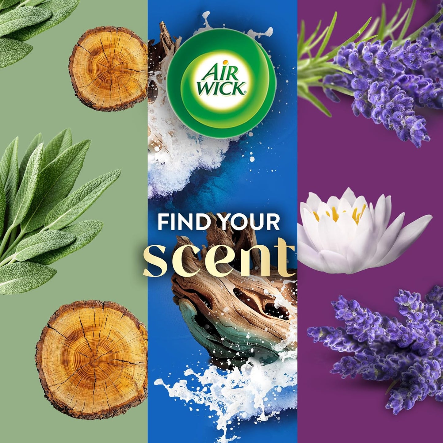 Air Wick Scented Oils 0+5 White Sage & Mahogany