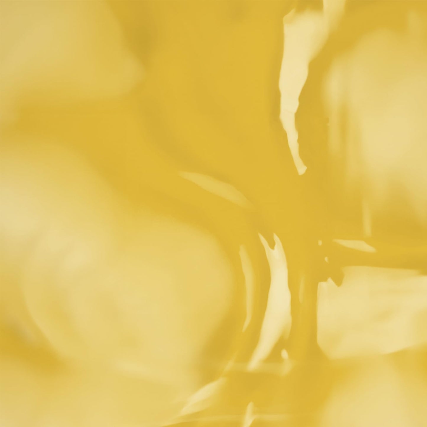 Banyan Botanicals Sunflower Oil – Pure & Organic Sunflower Seed Oil for Skin, Body, Hair & More – Multiple Sizes – 8 oz – Expeller Pressed Non GMO Chemical Free