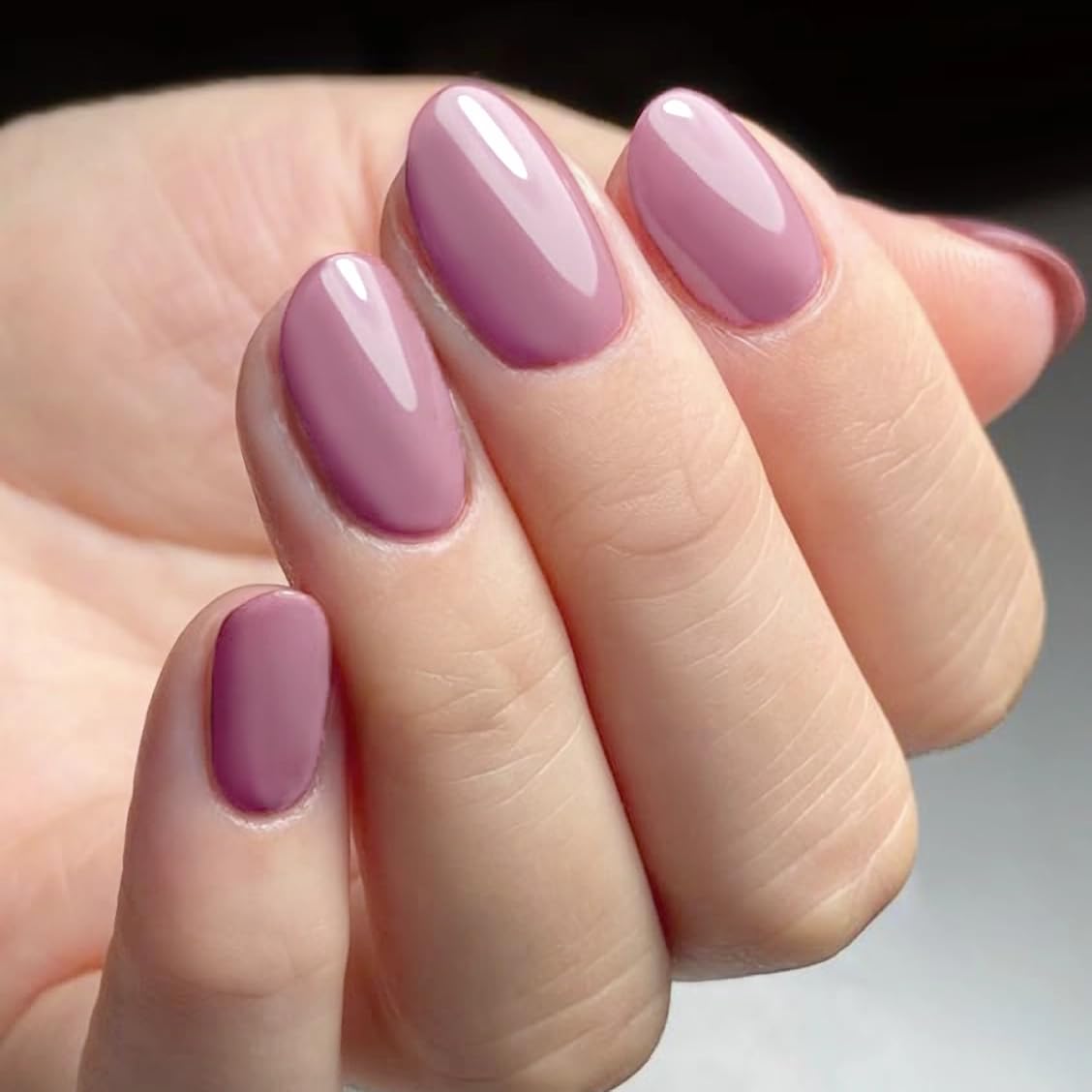 AILLSA Mauve Gel Nail Polish Dusty Pink Gel Polish Nude Rose Nail Polish Light Purple Natural Nails Prune Color Fall Winter Soak Off U V Nail Art Holiday Gift For Women 0.51 Fl Oz