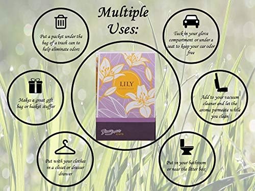 Lily Scented Sachets Pack of 6, Spring and Summer - Long-Lasting Scented Bags, Home Fragrance, Air Freshener & Deodorizer for Closet, Room, Drawer, or Cars, Made in USA