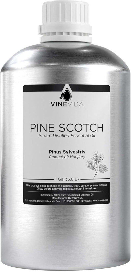 VINEVIDA Pine Essential Oil - Gallon undiluted - Bulk Oil for Soap and Candle Making Safe for Skin - 8 lbs