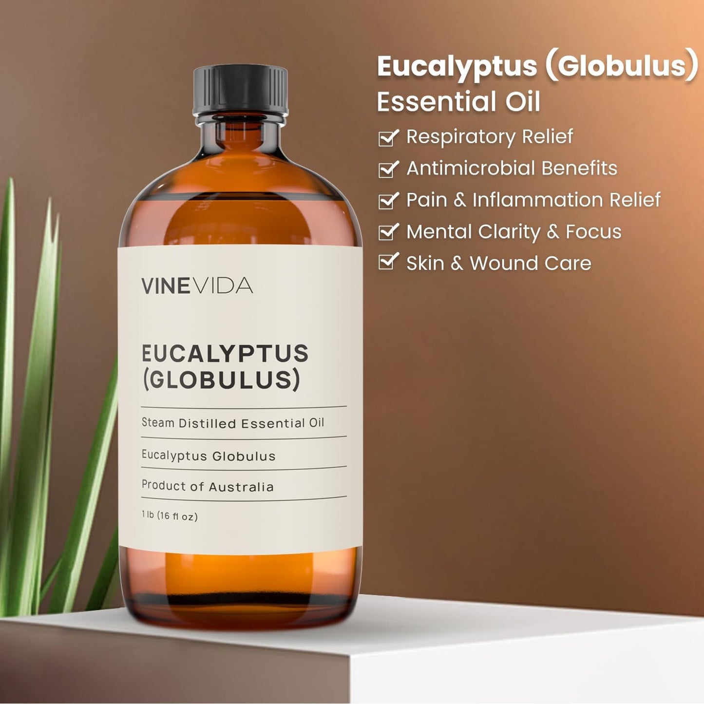 VINEVIDA Eucalyptus Essential Oil 16 oz - Undiluted Eucalyptus Oil - DIY Candle Scents for Candlemaking - Bulk Essential Oil for Soap Making Safe for Skin