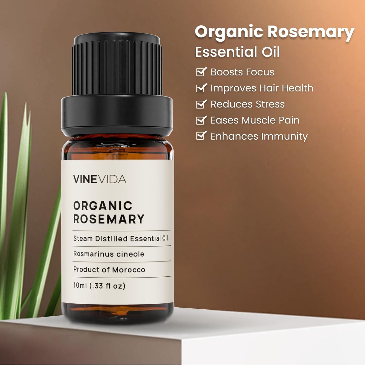 VINEVIDA Organic Rosemary Essential Oil 10 mL - Pure, Undiluted, Vegan, Reusable Glass Bottle with Euro Dropper for DIY Projects