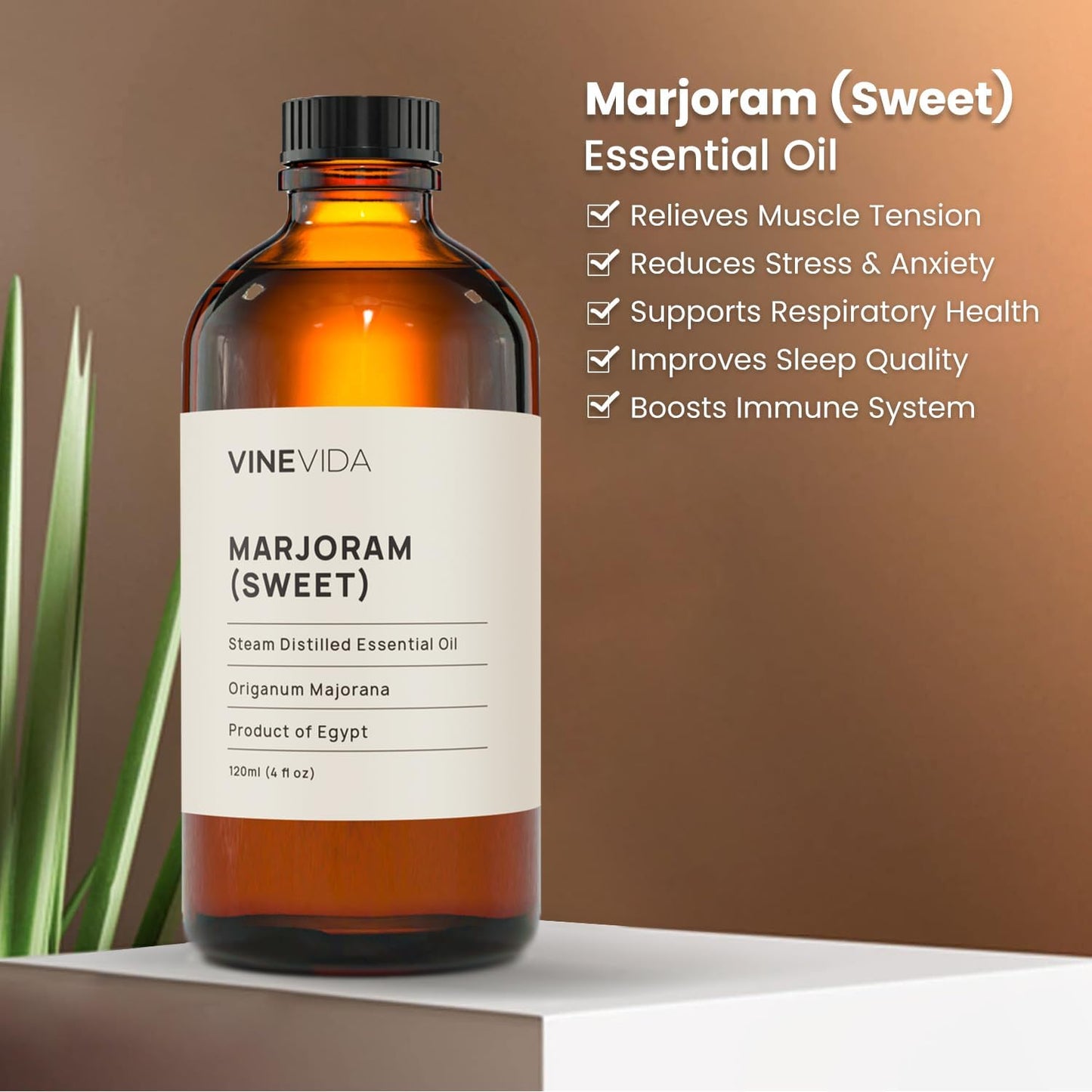 VINEVIDA Melissa Leaf Essential Oil 10 mL - Pure, Undiluted