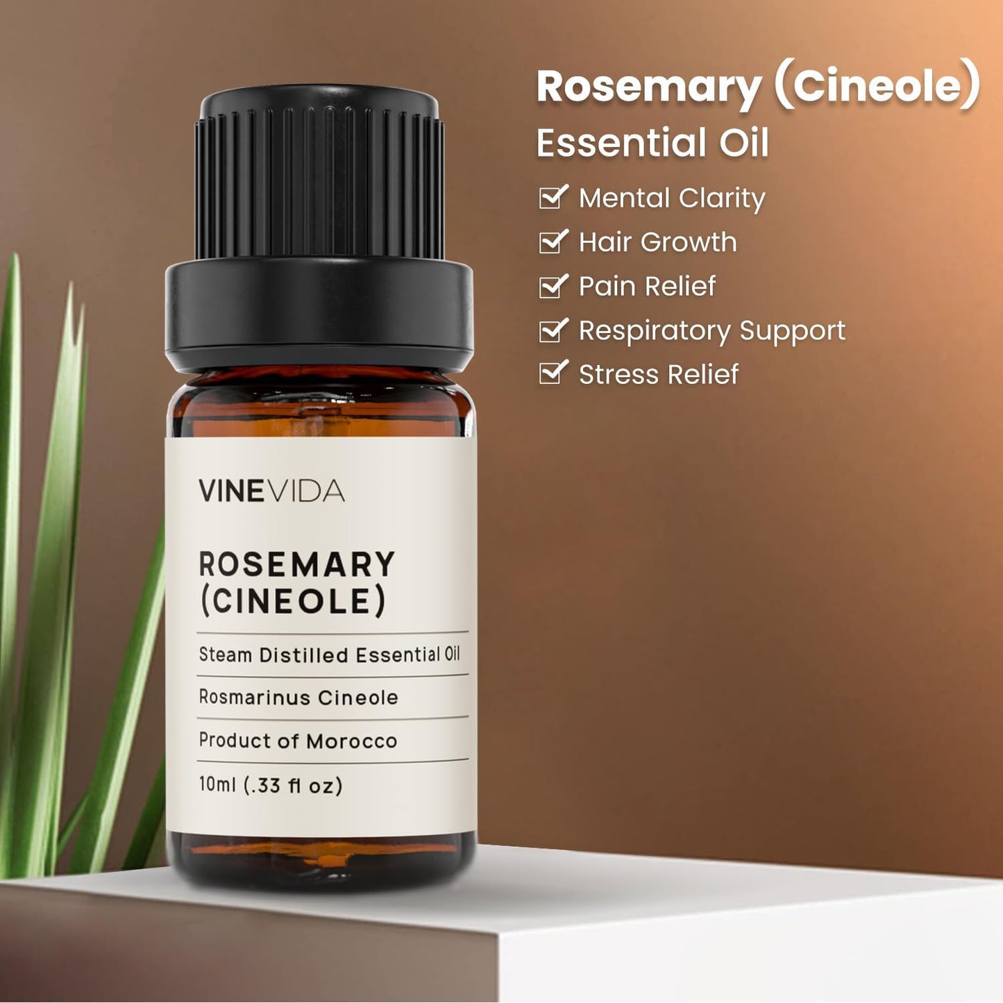 VINEVIDA Rosemary Essential Oil 10 mL - Pure, Undiluted Rosemary Oil for DIY Candle Scents and Soap Making - 10 mL Essential Oil for Safe Use