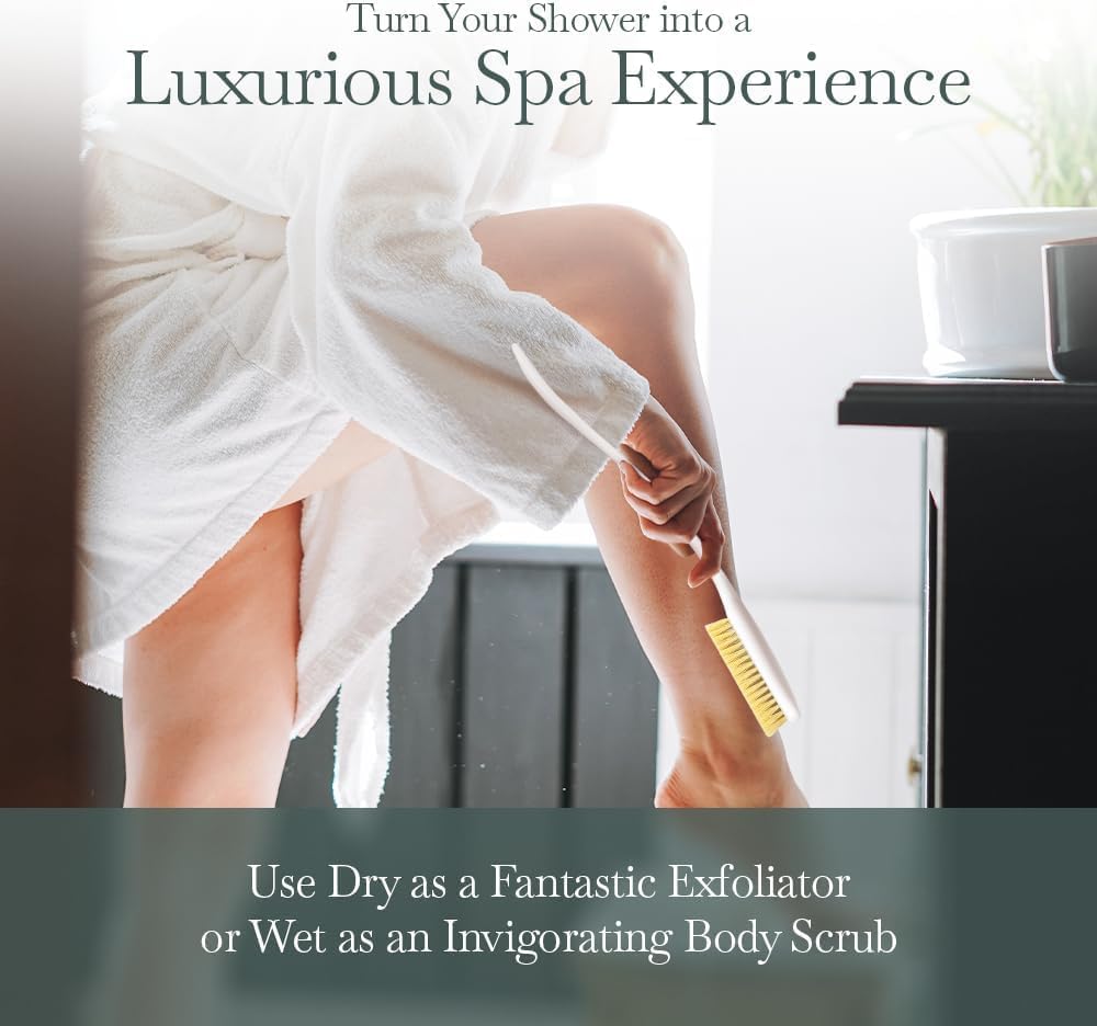 Fuller Brush Exfoliator & Scrub Body Brush - 16-inch Contoured Handle with Polyester Bristles - an All-Over Reach Including Back, Neck, Shoulders & Feet - Soft, Durable & Gentle on Your Skin (2-Pack)