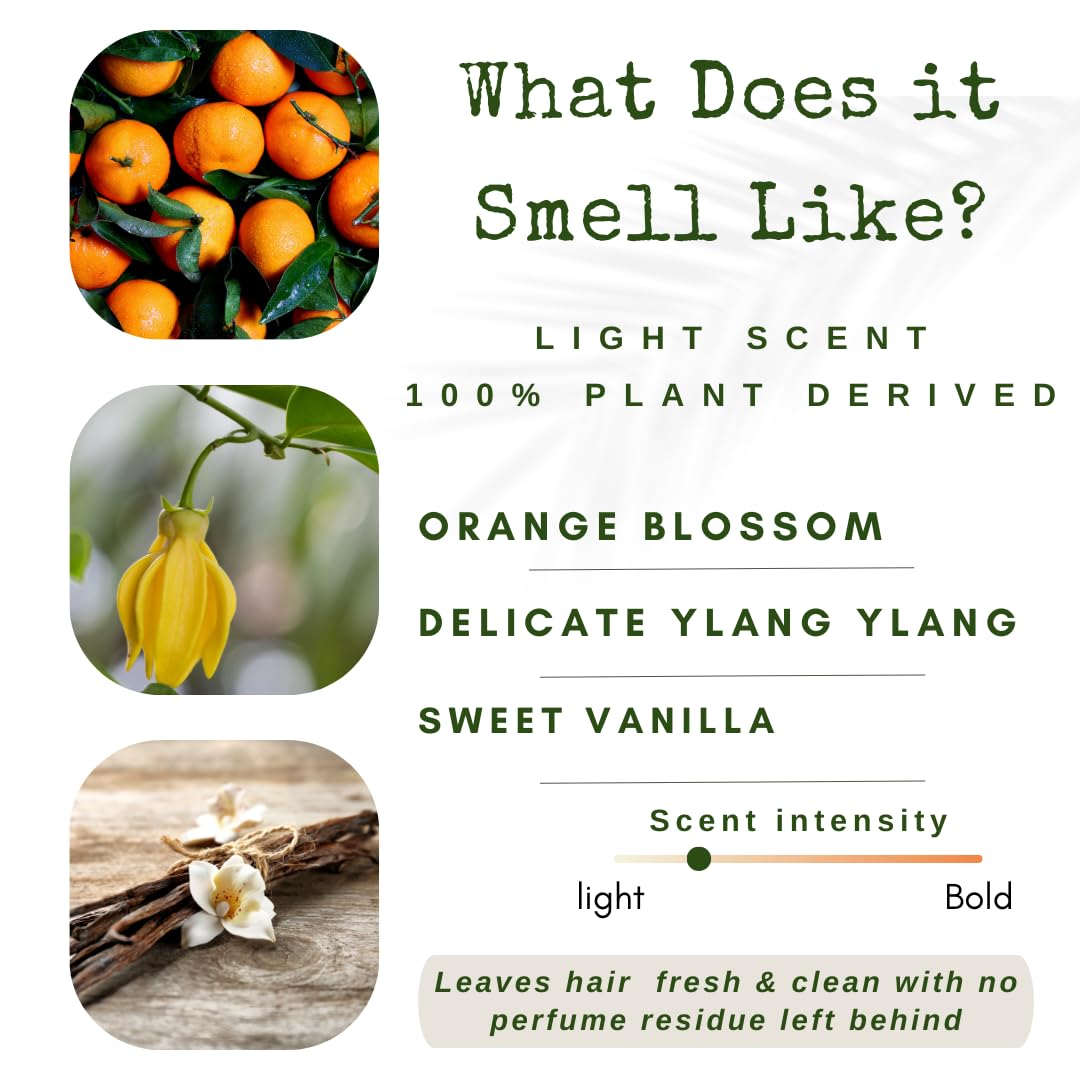 Shampoo Bar and Conditioner Set with Travel Case | Volume and Moisture for Dry Hair | Orange, Ylang Ylang, Argan Oil | Made in USA | 2-pk