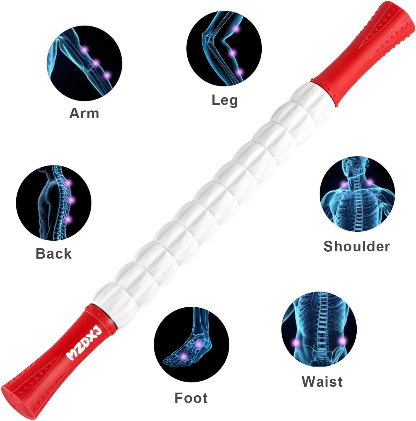 Muscle Roller Stick for Athletes - Deep Tissue Fascia Blaster & Roller Massager for Myofascial Pain Relief - Handheld Physical Therapy & Recovery Tool(Red White-20 inch)