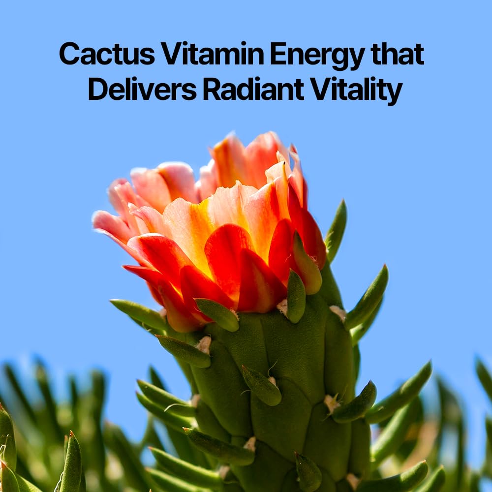 Pyunkang Yul PKY Dancheong Hand Cream, Gentle Hand Care, Natural Scents with Essential Oils, Inspired by Fade-Resistant Korean Dancheong, Zero Irritation, Korean Skincare (2.53 Fl. Oz, 75ml)