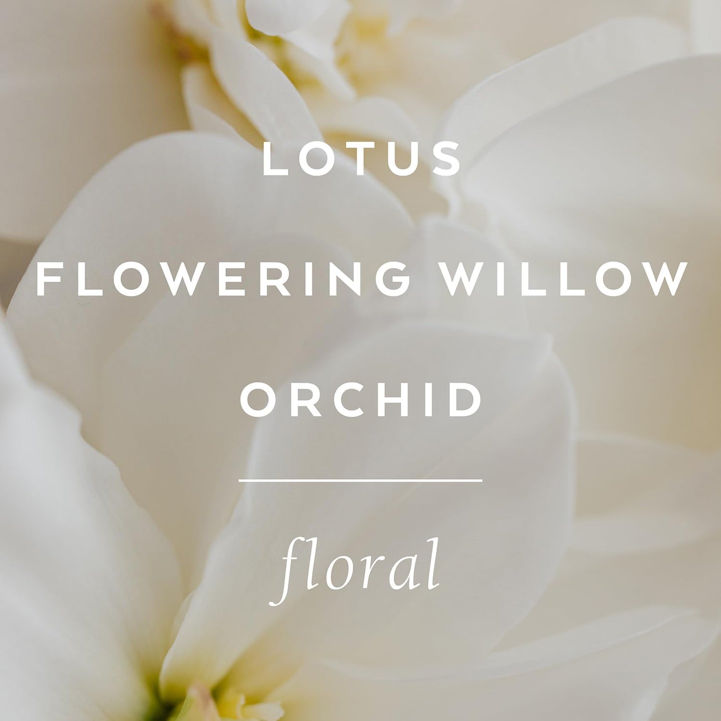 LOLLIA Imagine Shower Gel, 8 fl. oz. – Flowering Willow & Lotus – Scented Shower Gel Body Wash, Shea Butter Body Wash, Bath Wash for Women, Beautiful Shower Gel, Moisturizing Body Wash