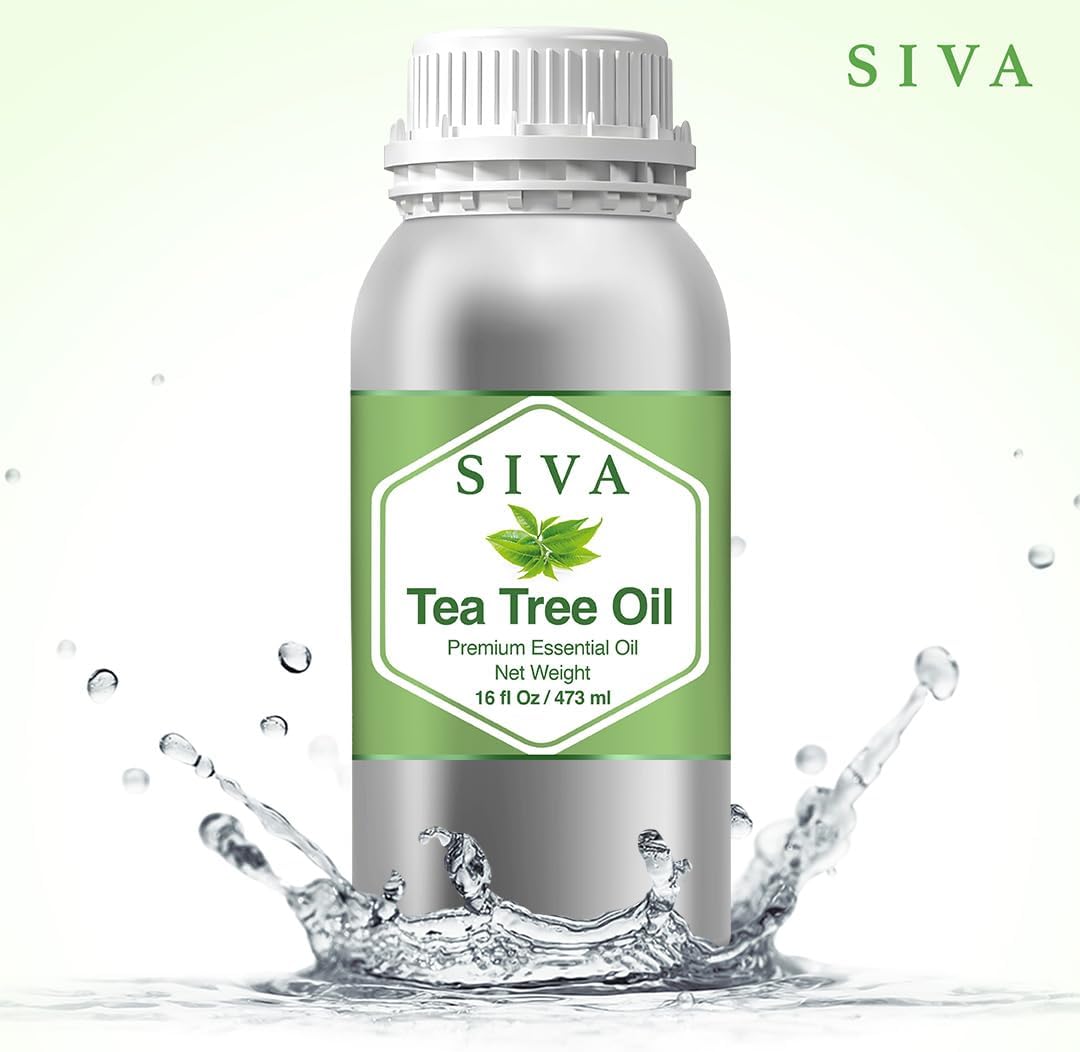 Siva Tea Tree Essential Oil - 16 Fl Oz – Natural Tea Tree Oil - for Diffuser, Face, Skin Care, Aromatherapy, Hair Care, Scalp and Body Massage