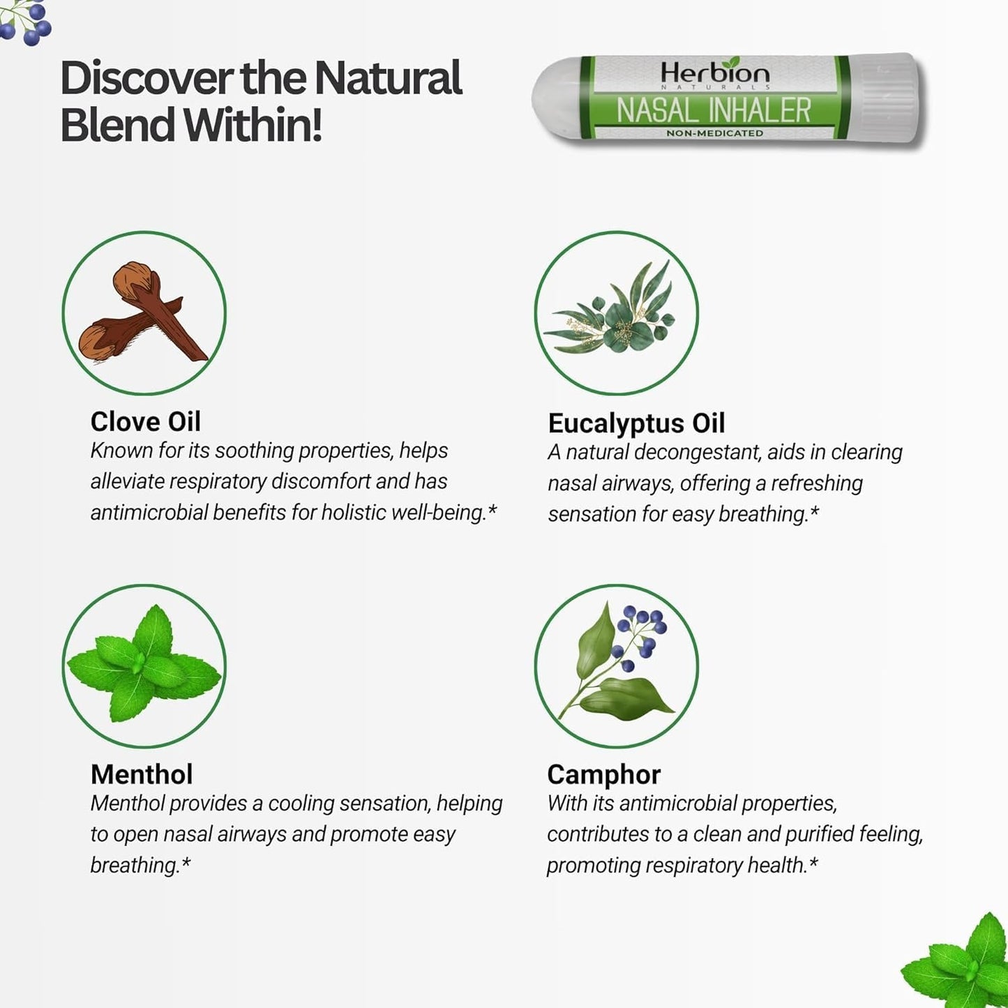 HERBION Naturals Nasal Inhaler, Natural Relief for Nasal Congestion & Sinus Pressure, Non-Medicated Sticks with Essential Oils, Menthol, Eucalyptus, Clove, Soothing Vapor, Easy Breathing, Pack of 2