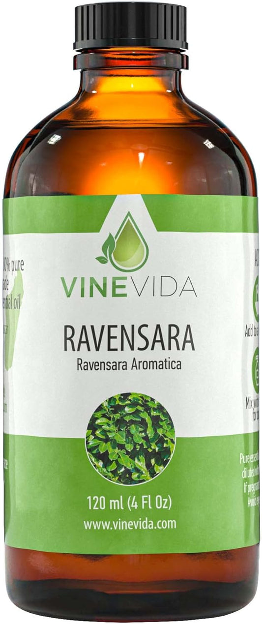 VINEVIDA Ravensara Essential Oil 4 oz - Undiluted, Pure, Vegan, and Sustainable