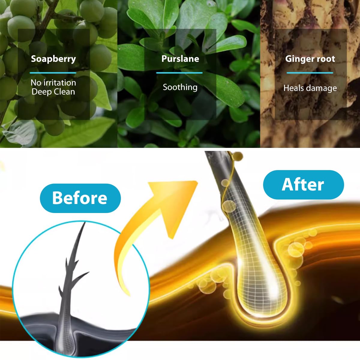 Bee & Flower Shampoo Bar Sea Salt Shampoo Bar Cool & Refreshing All Natural Travel Shampoos Bars for All Hair Types - 2.1 oz (Comes with Mesh Bag and Tin Box)