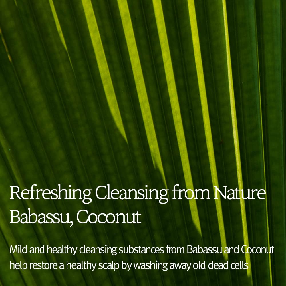 Hair Gift Set - Signature Shampoo & Conditioner Set 33.8 Fl. oz. (2×16.9 Fl. oz.) / 6 Hydrolyzed Proteins, 11 Amino Acids & 5 Plant Oils/Smooth & Shiny Hair