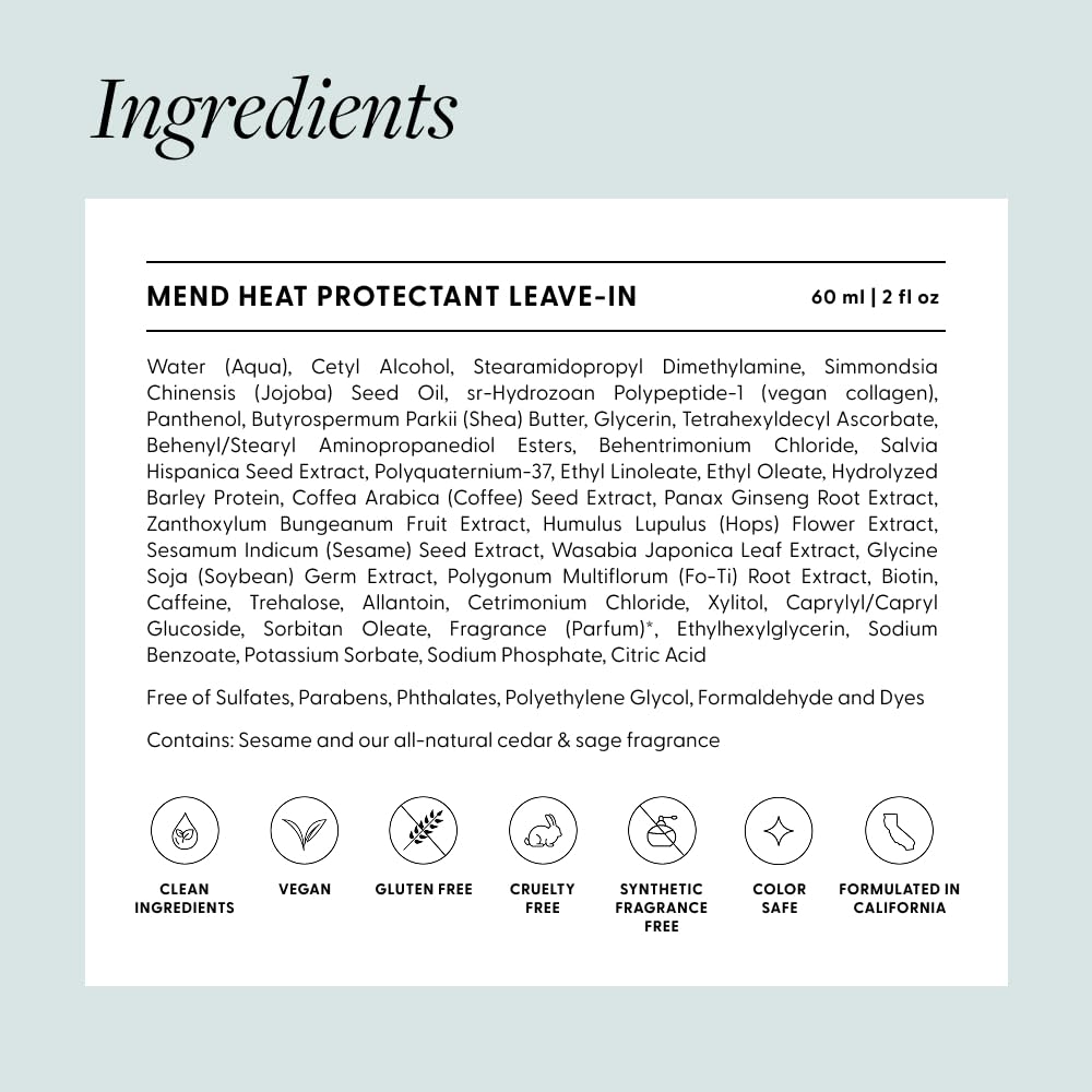 Arey Mend Heat Protectant Leave-In Conditioner | Detangles, Rehydrates, Strengthens and Protects Hair up to 450°F | Vegan, Cruelty-Free & Gluten-Free (2 Fl Oz)