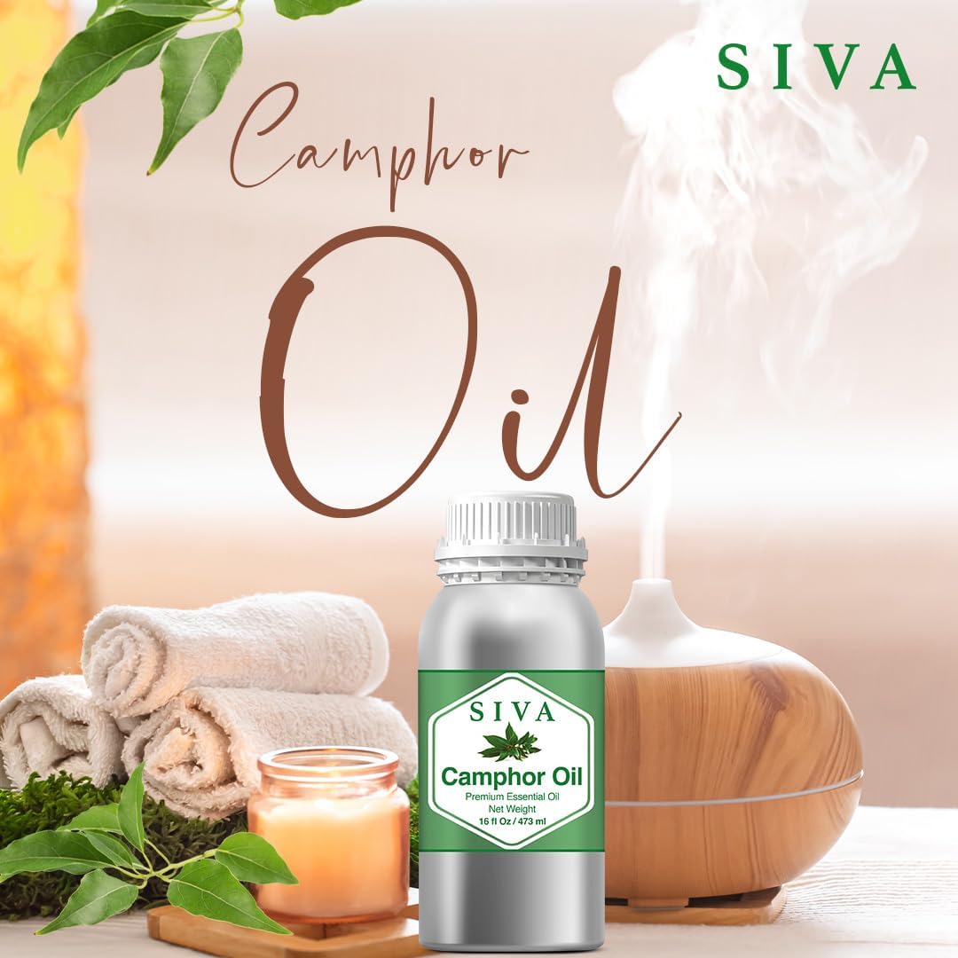 Siva Camphor Essential Oil - 16 Fl Oz – Natural Camphor Oil - for Diffuser, Face, Skin Care, Aromatherapy, Hair Care, Scalp and Body Massage
