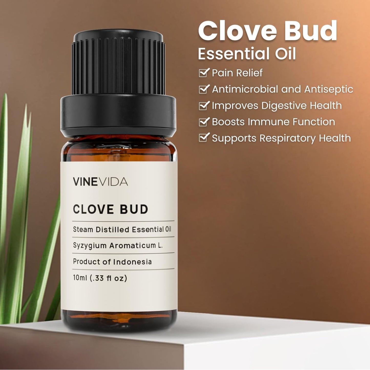 VINEVIDA Clove Essential Oil - Undiluted Clove Oil - Candle Scent - DIY Candle Scents - 10 mL for Candlemaking, Soap Making, Safe for Skin