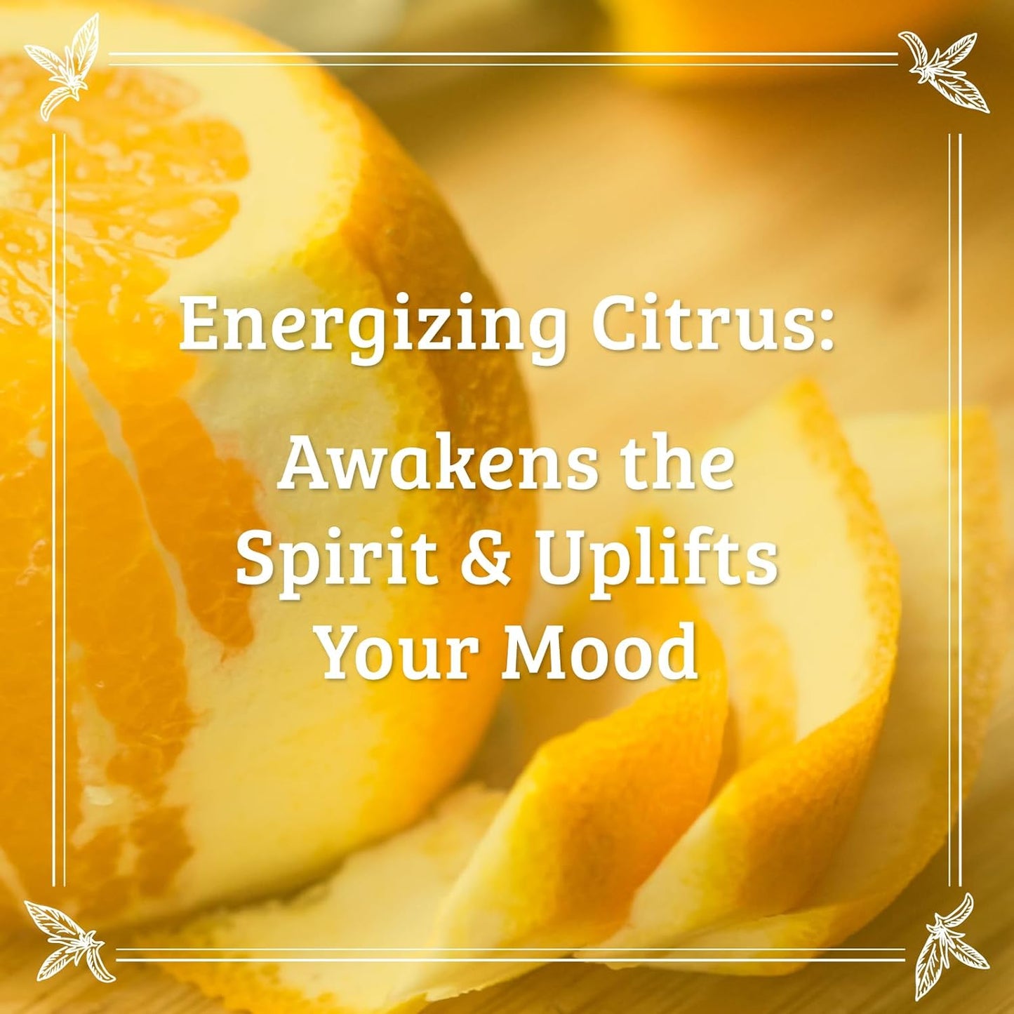 Pharmacopia Citrus Body Lotion - Hydrating Natural Moisturizer with Aromatherapy Benefits - Cruelty-Free Vegan Skin Care - Shea Butter, Aloe Vera, and Jojoba Oil - Lotion for Dry Skin, 16 oz