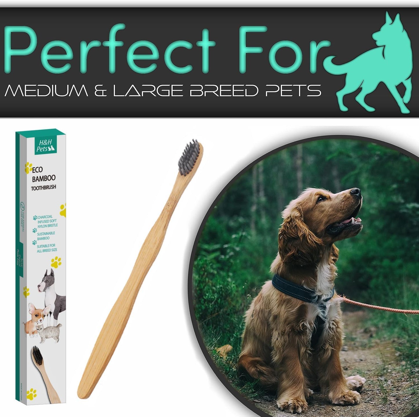 H&H Pets Bamboo Toothbrush Set for Dogs and Cats - Ultra Soft Bristles & Biodegradable Wooden Toothbrush, Puppy Supplies, Dog Dental Set, Eco-Friendly Pet Supplies (Large; 8-Count Pack)