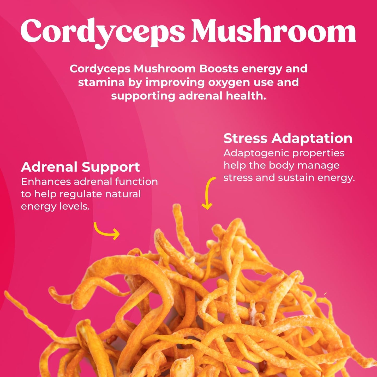 Super Bouncy - Mushroom Supplement - Cordyceps Mushrooms, Green Tea, Ginseng - Energy and Focus (60 Capsules)
