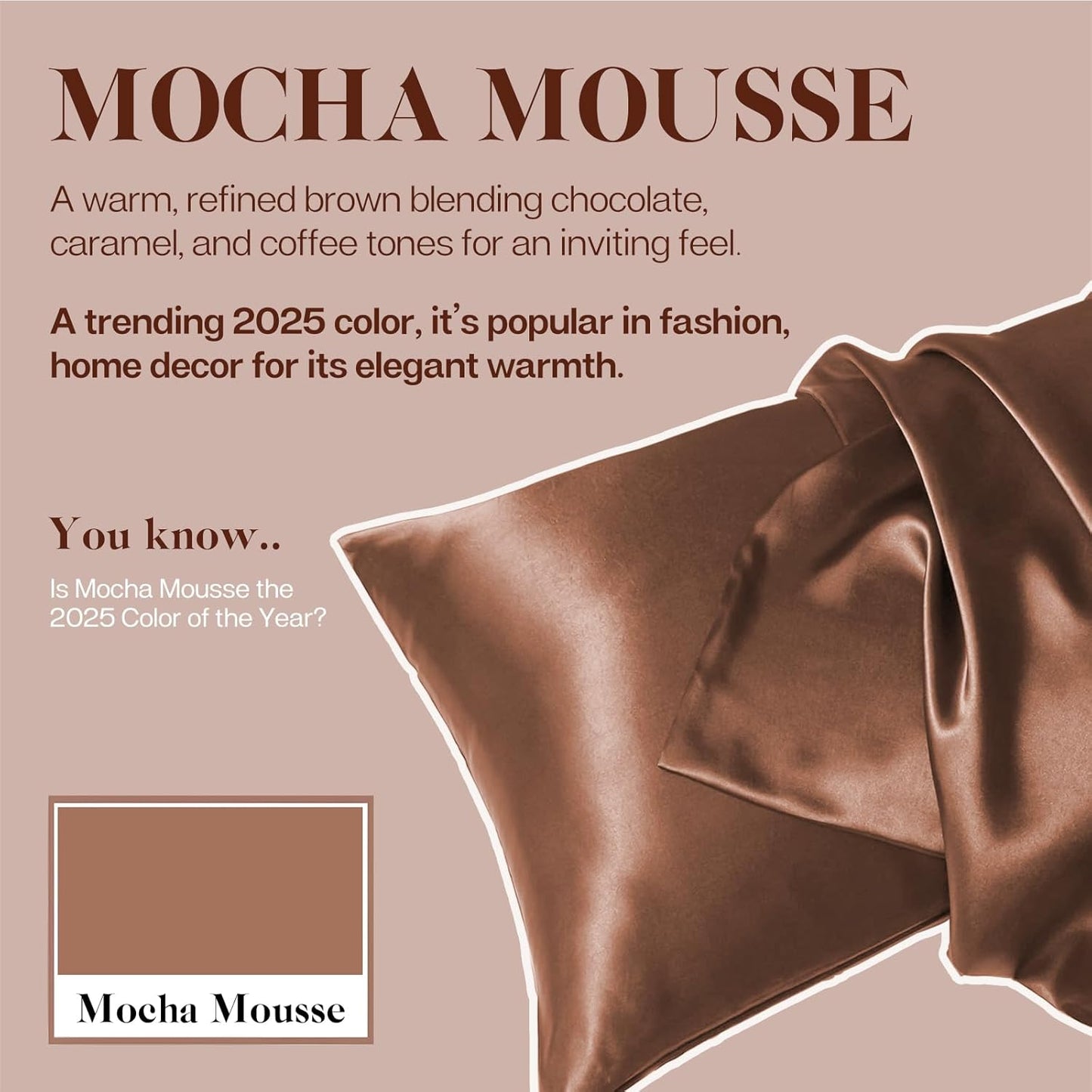 MR&HM Satin Pillowcase for Hair and Skin, Silk Satin Pillowcase 2 Pack, Queen Size Pillow Cases Set of 2, Silky Pillow Cover with Envelope Closure (20x30, Mocha Mousse)