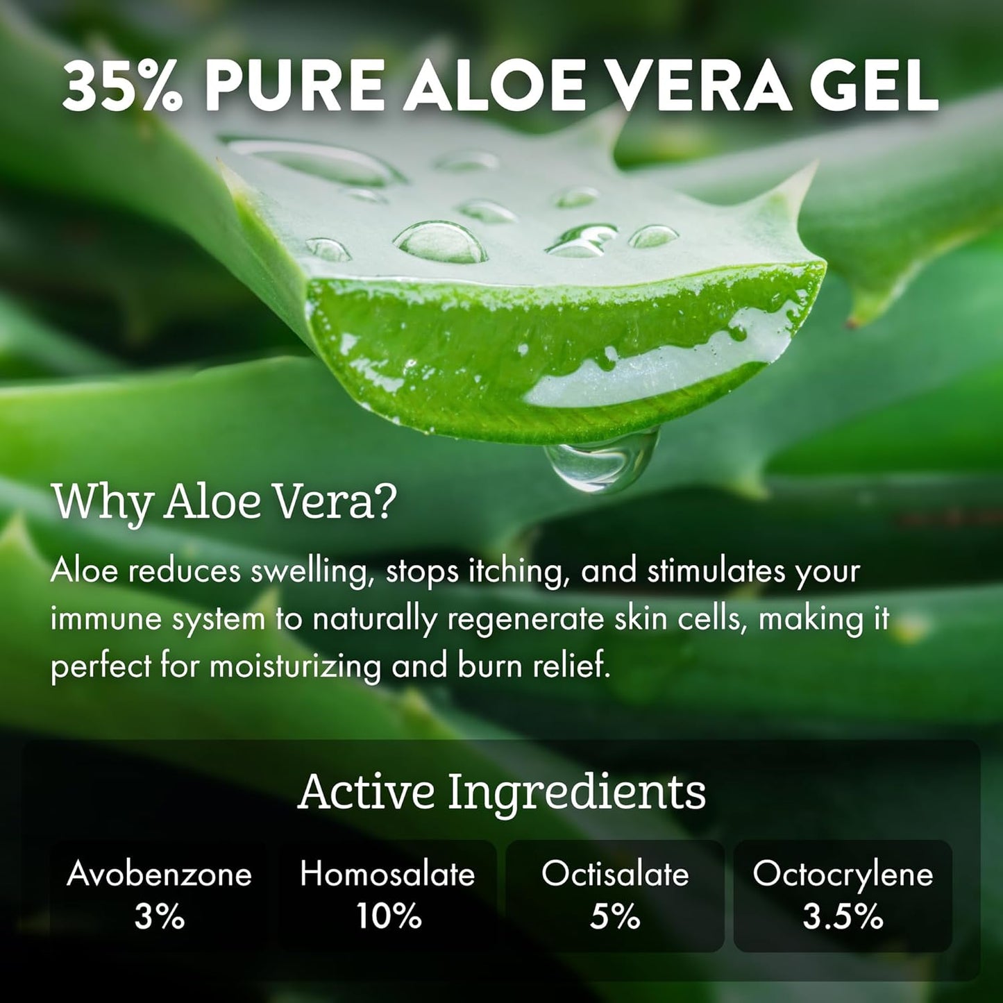 Aloe Up Sport Sunscreen Lotion SPF 30 - Broad Spectrum UVA/UVB Sunscreen Protector for Face and Body - With Hydrating Aloe Vera Gel - Non-Greasy - No White Cast - Reef Safe - Fragrance-Free - 3 Oz.