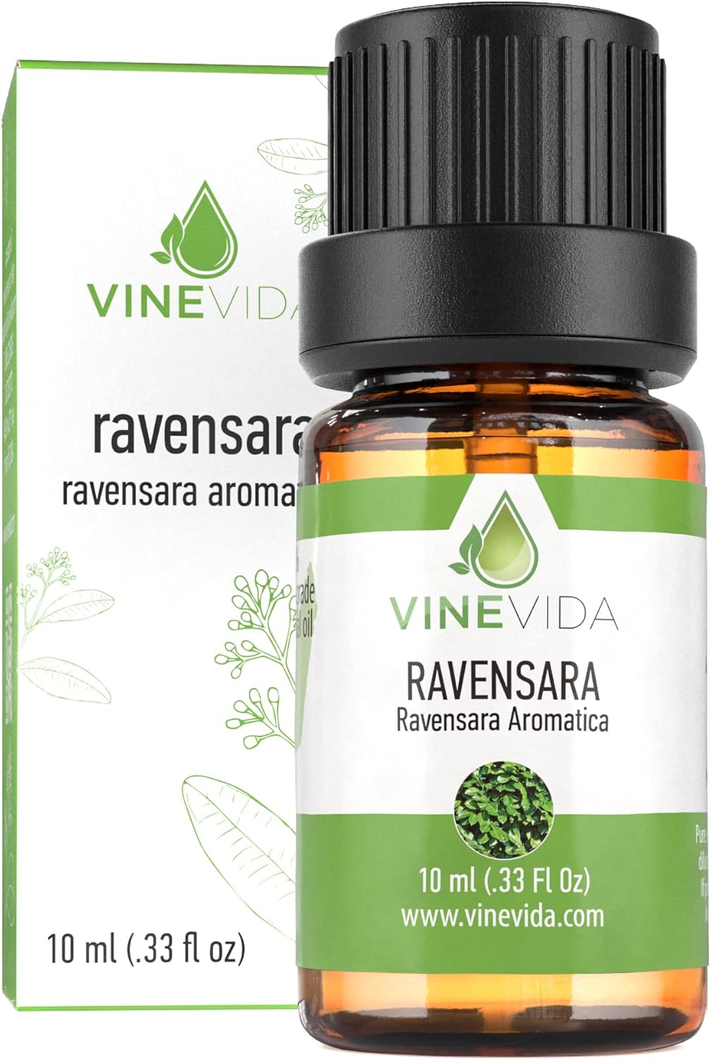 VINEVIDA Ravensara Essential Oil - Undiluted Ravensara Candle Oil Scent - DIY Candle Scents for Candlemaking - Skin-Safe 10 mL Essential Oil for Soap Making