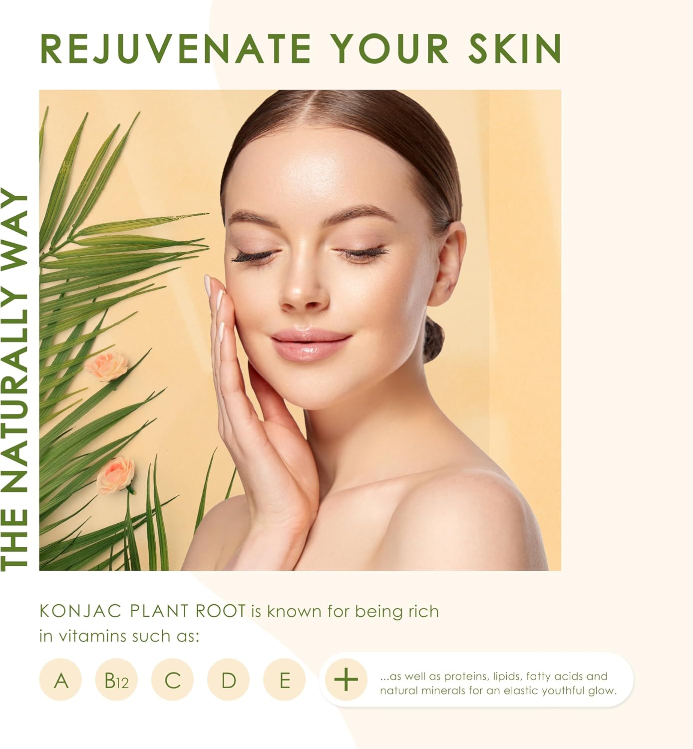 Konjac Sponge Body (2 Pack) Exfoliating Walnut | Microplastic Free 100% Natural | Non-Toxic | Biodegradable | Eco-Friendly | Plastic Free Packaging