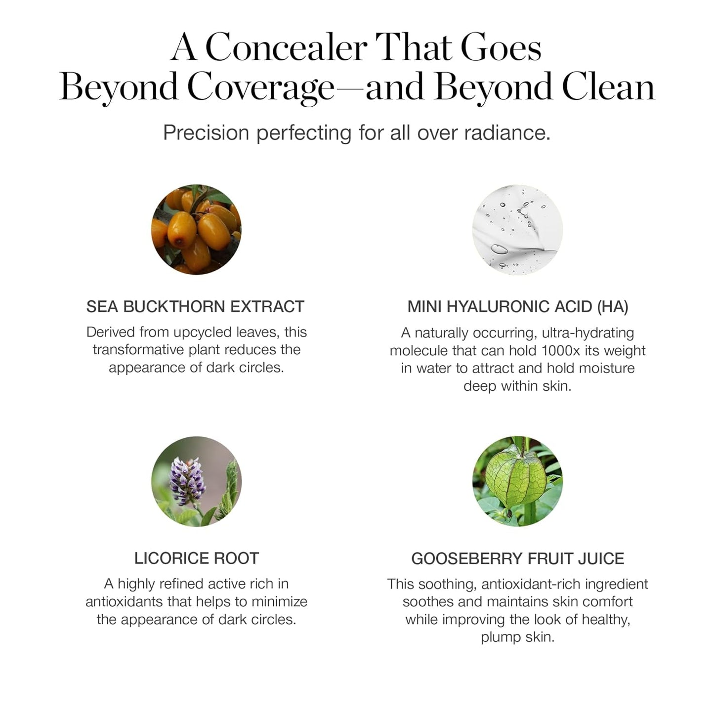 Ogee Complexion Perfecting Under Eye Concealer - Certified Organic Full Coverage Concealer - Buildable Coverage - ALDER 0.07C - Light Fair (Cool Undertones)