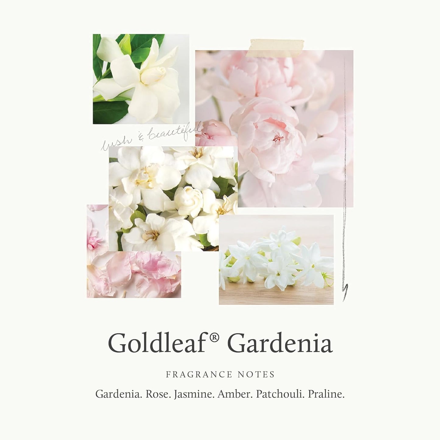 Thymes Hand Crème - Deeply Moisturizing Hand Cream with Light Floral Scent for Women (Goldleaf Gardenia, 3 oz)