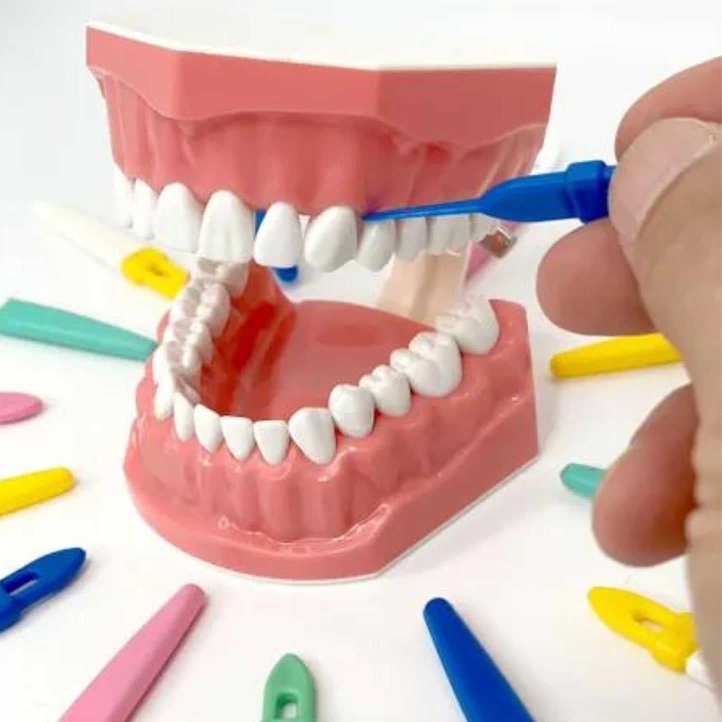 Original Perma Pic Reusable Toothpicks (6-Pack) - Flossing Alternative, Portable & Travel-Ready, Easy Clean, Durable Picks for Oral Hygiene on-The-Go