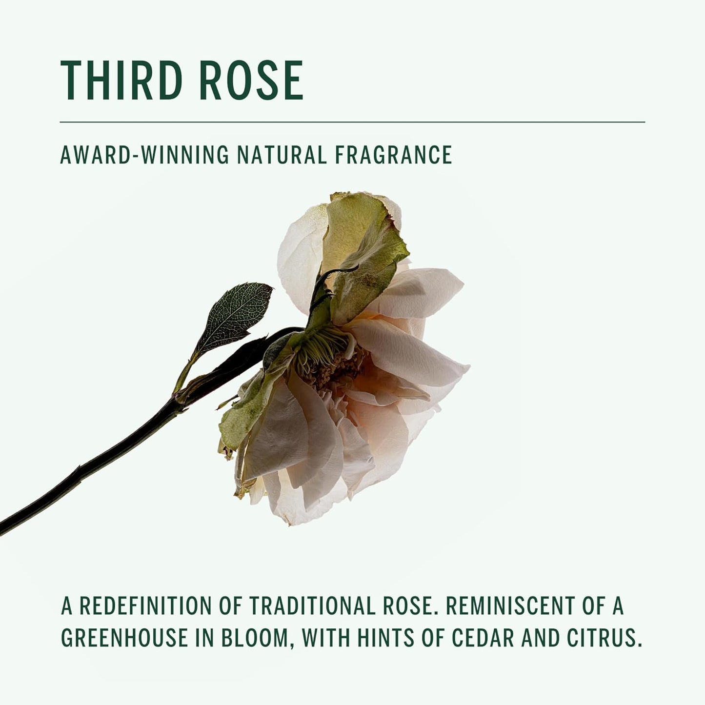 CORPUS - Natural Deodorant Stick For Sensitive Skin | Aluminium + Baking Soda Free | Unisex, Non-Toxic, Made In The USA (Third Rose)