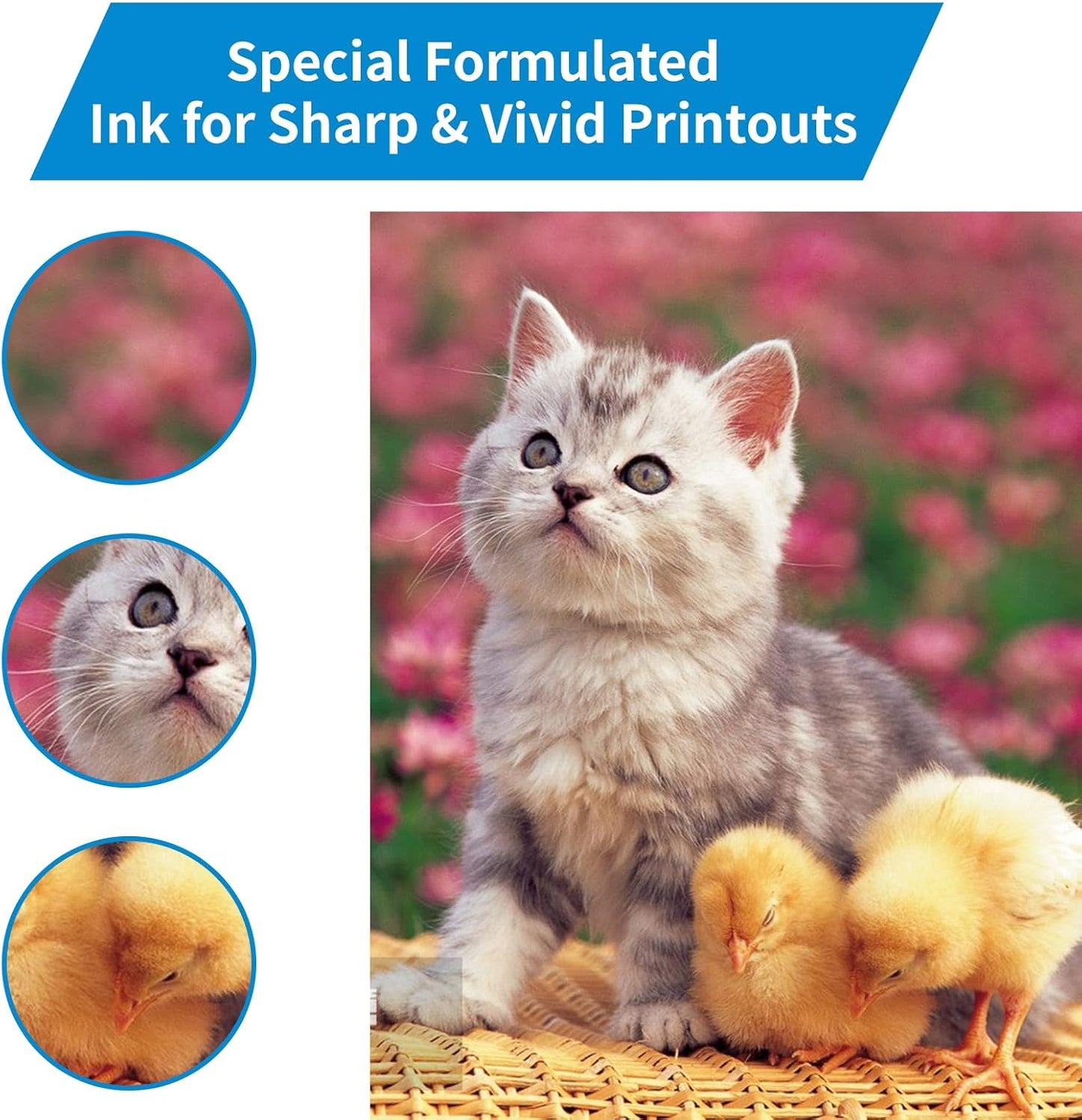 T552 Refill Ink Bottles Compatible with Epsn 552 Ink Refill Bottles Use for EcoTank Photo ET-8550 ET-8500 Printer（PB C M Y GY BK 6 Color Cyan/Magenta/Yellow/Photo Black/Gray Ink Bottles