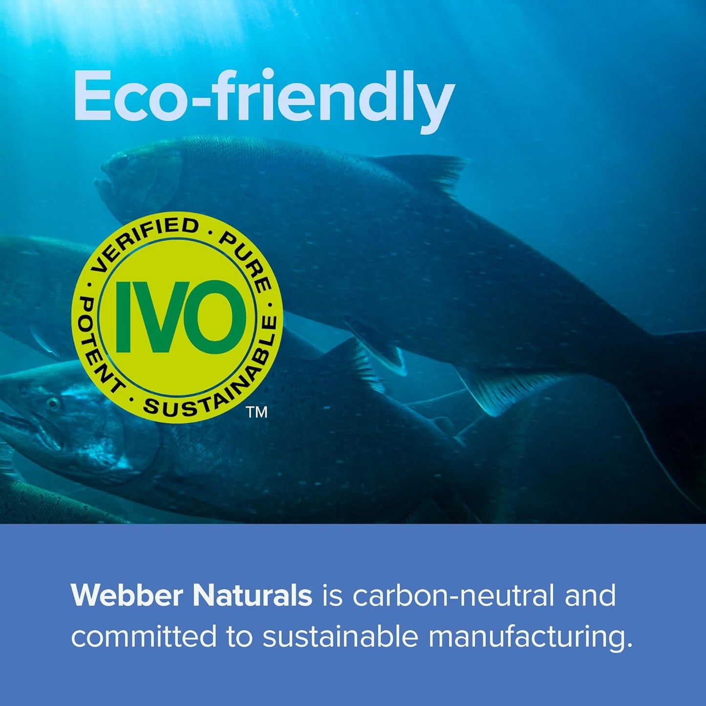 Webber Naturals Fish Oil 2850 mg, High Potency, 1800 mg Omega-3 per Serving, 240 Clear Enteric Softgels, No Fishy Aftertaste, Ultra-Purified, Supports Heart, Cognitive, and Joint Health