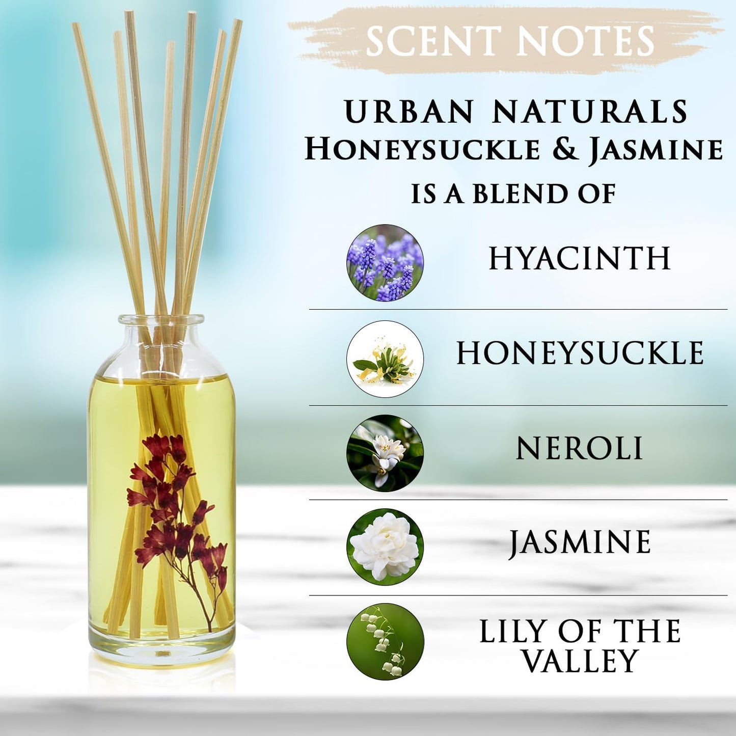Urban Naturals Honeysuckle & Jasmine Reed Diffuser Oil Scented Sticks Set– Hyacinth, Cassis, Neroli & Geranium | Long Lasting Air Freshener for The Bedroom, Bathroom or Office | Made in The USA