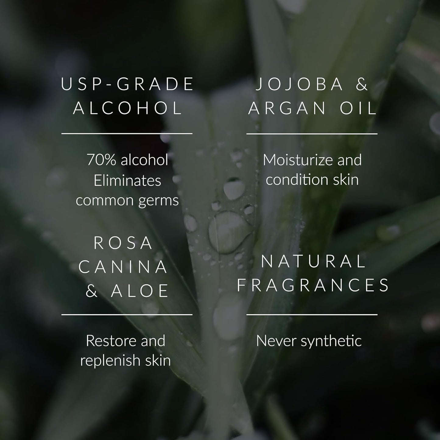 Noshinku - Refillable Hand Sanitizer Orange Coriander 3-Pack, Travel Size Spray, Hydrating Botanical Oils, Natural Ingredients, All Natural Fragrances, Sugarcane Derived Alcohol, No Parabens, No Dyes