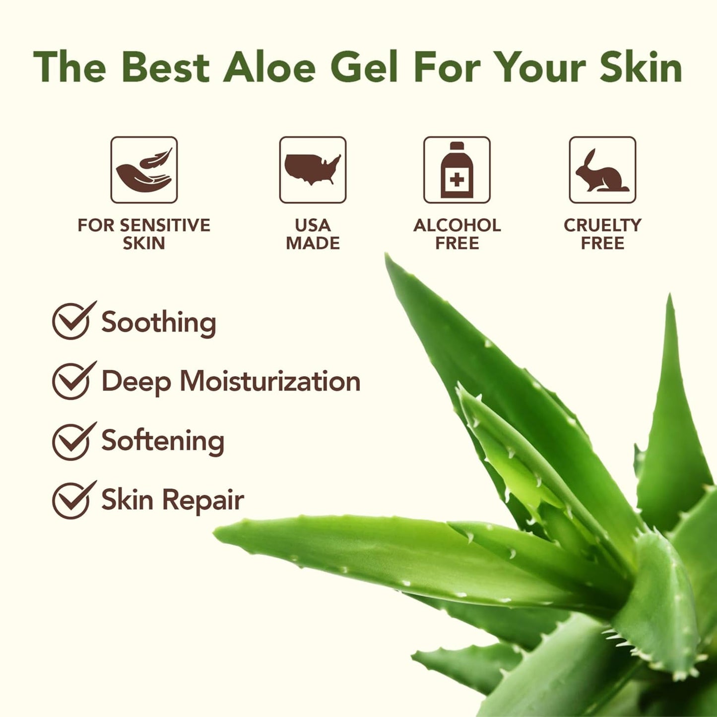 Amazing Aloe Vera Gel - Freshly Cut, 100% Pure Aloe, Premium Quality, Vegan, Unscented - Natural Sunburn Relief, After Shave, Skin, Face & Hair Care 12oz