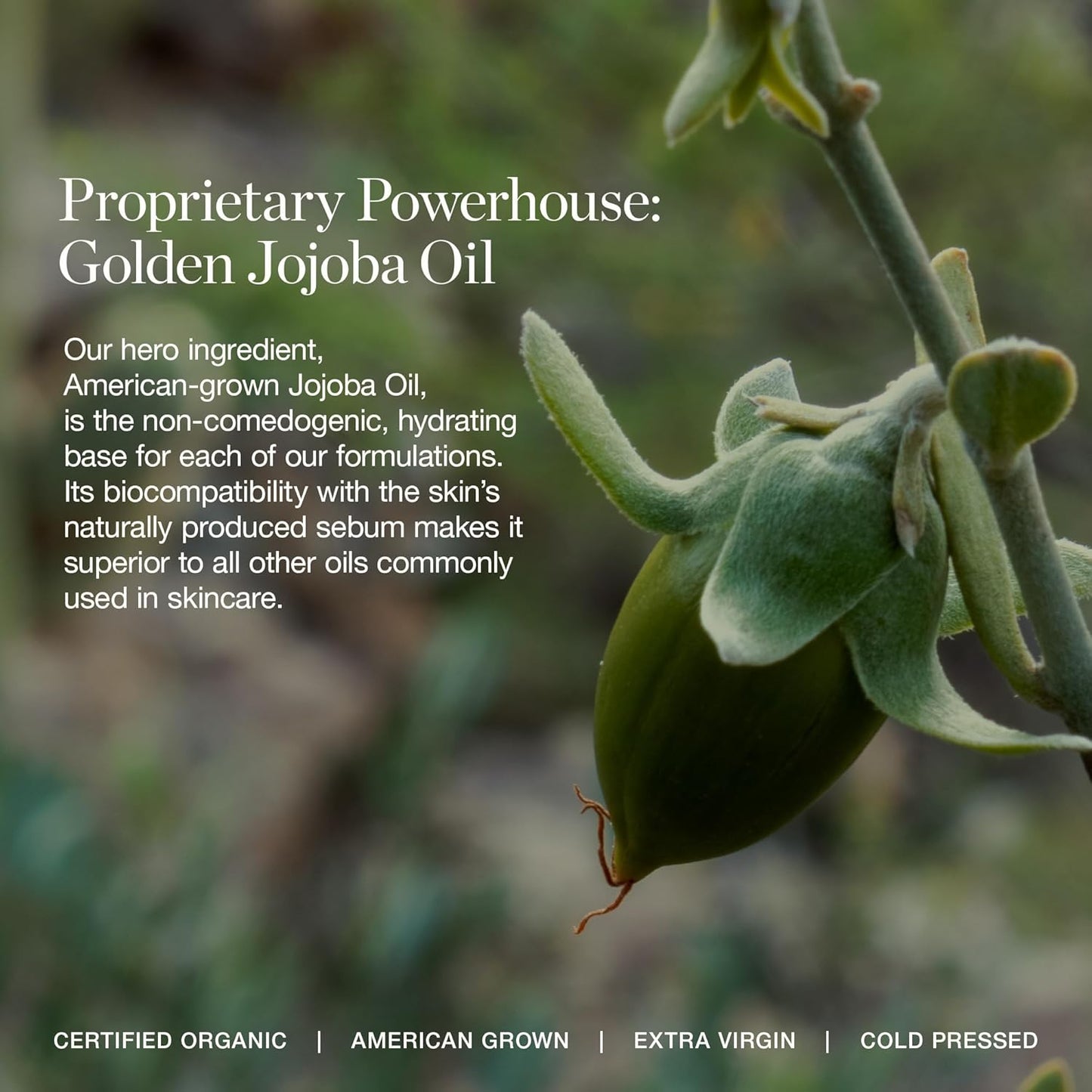 Ogee Complexion Perfecting Under Eye Concealer - Certified Organic Full Coverage Concealer - Buildable Coverage - ROSEWOOD 0.00C - Fair (Cool Undertones)