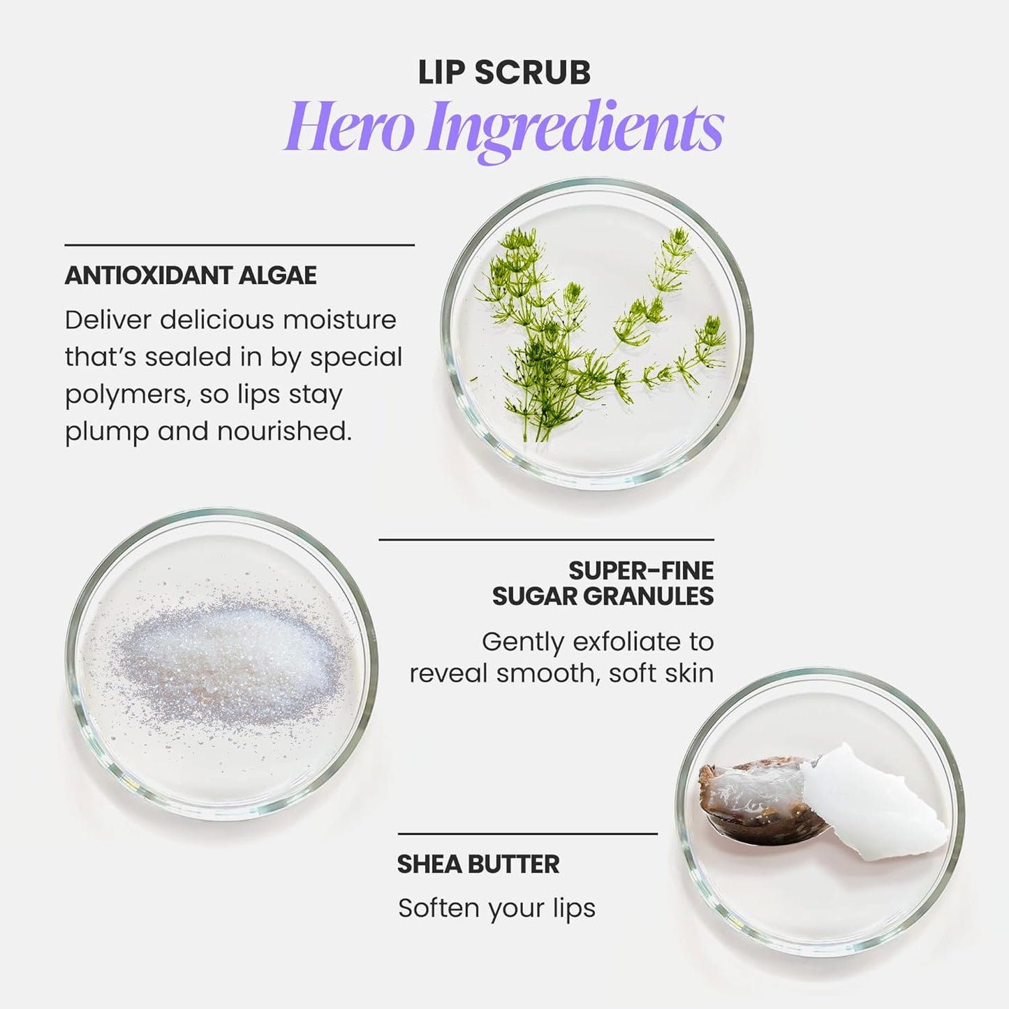 Wonderskin 3-in-1 Lip Scrub Exfoliator & Moisturizer, Lip Exfoliator Scrub, Hydrating Balm for Soft, Nourished, Flake-Free Lips with One-Step Prep, 0.10oz