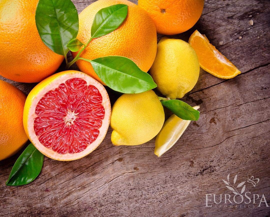 EuroSpa Aromatics Pure Eucalyptus Oil ShowerMist and Steam Room Spray, All-Natural Premium Aromatherapy Essential Oils - Citrus Infused, 8oz