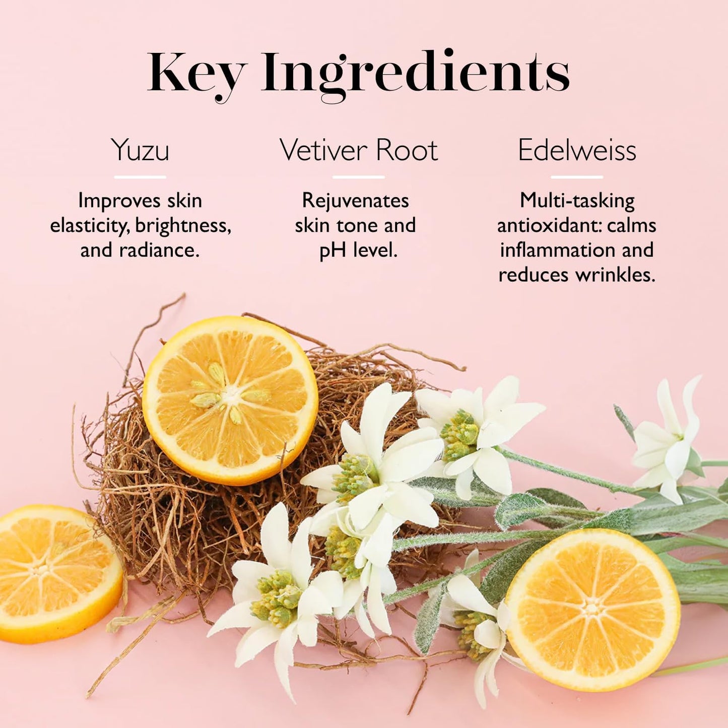 Spongelle Daisy Spongette Bulgarian Rose Wild Flower Buffer Body Scrubber | Bath & Shower Loofah for Women | Exfoliator with Body Wash Infused Sponge | 14+ uses