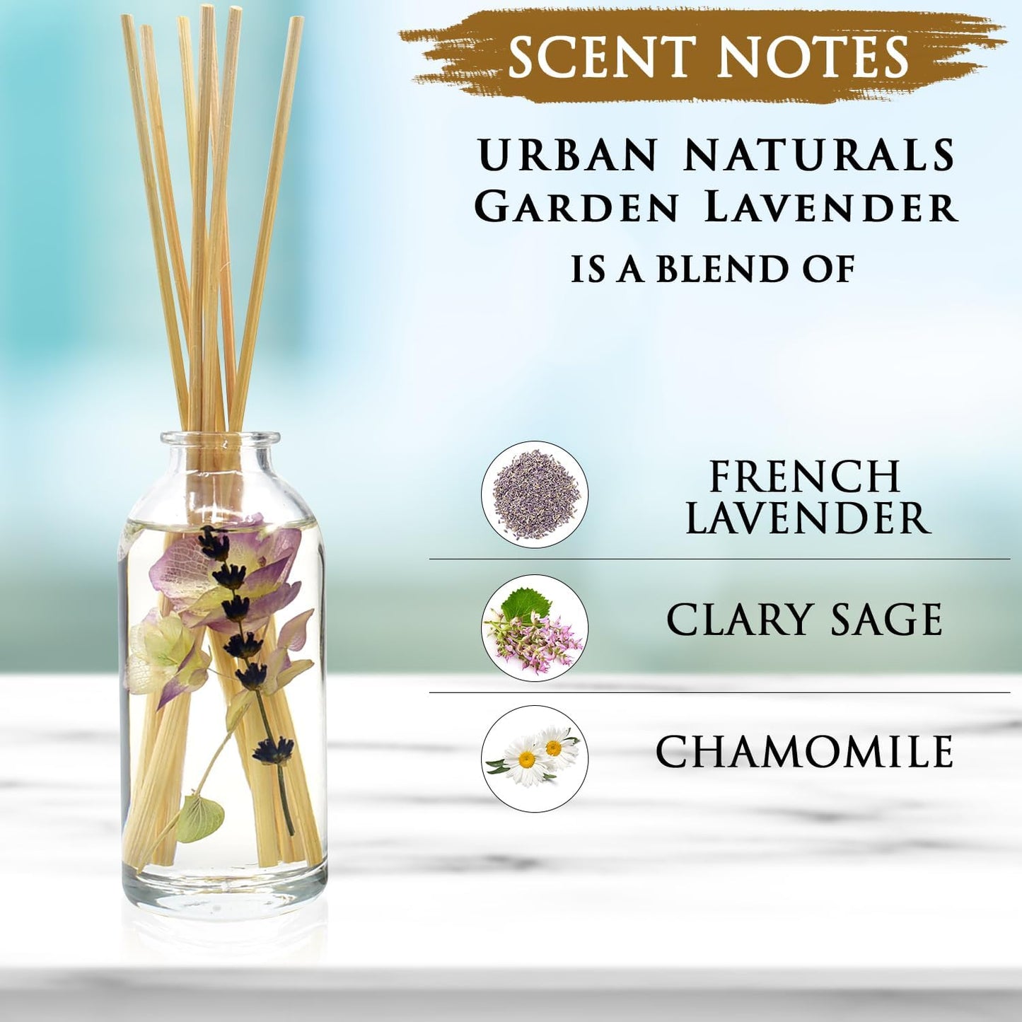 Urban Naturals Garden Lavender Reed Diffuser Oil Set with Reed Sticks – Calming, Herbal Fragrance - Made in The USA